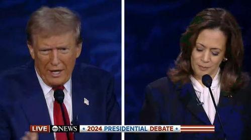 特朗普爆料哈里斯的视频,视频曝光惊人真相 第3张 特朗普爆料哈里斯的视频,视频曝光惊人真相 第3张